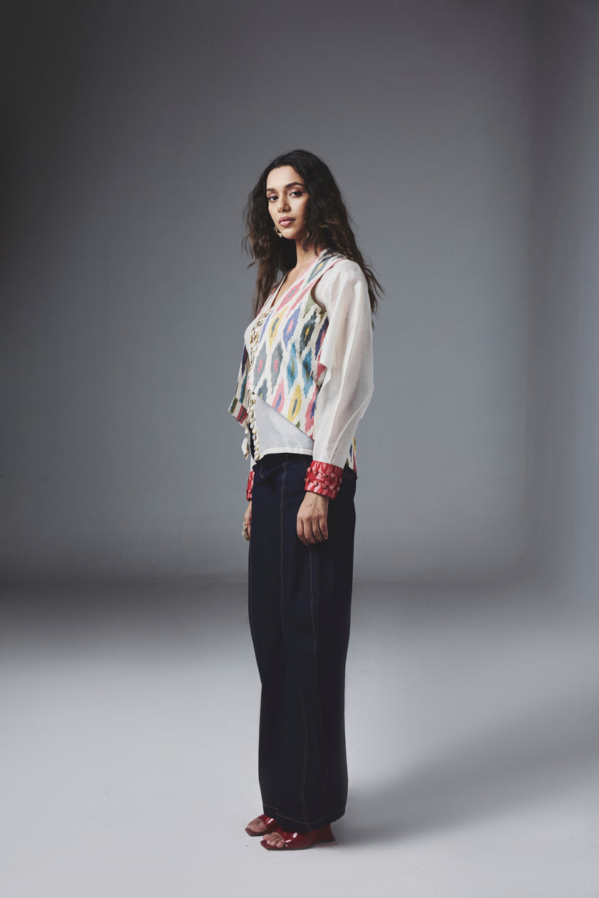 Dil Chahta Ikat Jacket