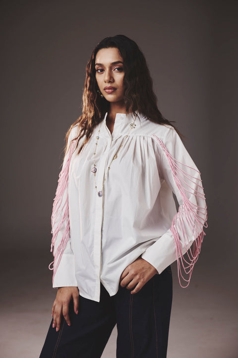 Dilruba Top
