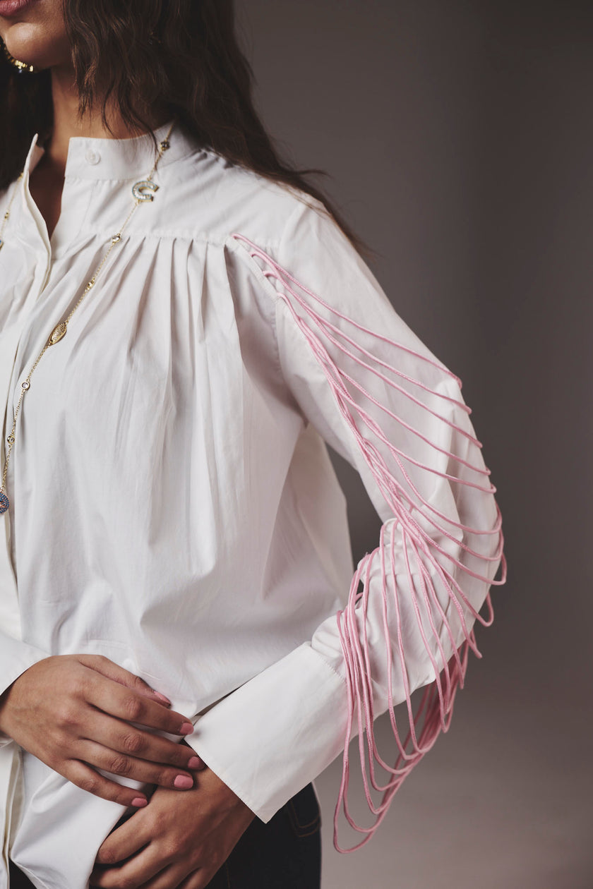 Dilruba Top