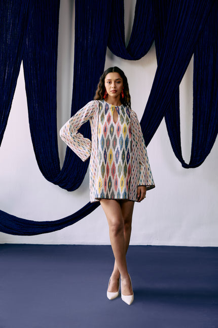 Desi Debug Dress
