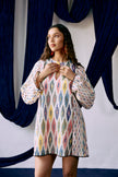 Desi Debug Dress